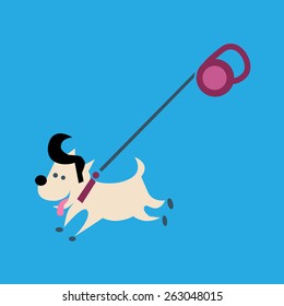 Little joyful fashionable dog on a leash. Walk