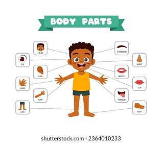 afiche de anatomía corporal para niños pequeños para aprender