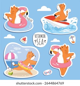 Gatinho pequeno, gatinho bonito, calor, verão, férias, mar, fim de semana, feriados, praia, costa, nadar, boia salva-vidas, flamingo, relaxar, tomar sol, nadar, diversão, interessante, sonho, gatinho gengibre, menina, imprimir