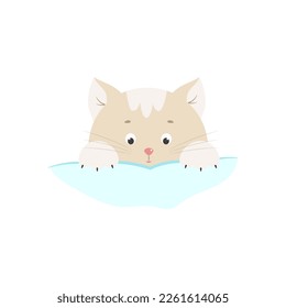 Little kitten face and front paws, cute animal vector illustration. A pet isolate.