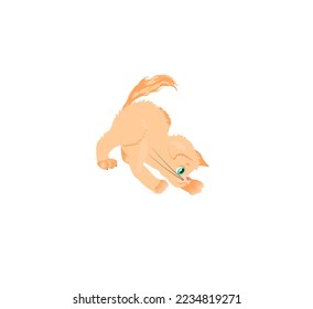 little kitten ginger fluffy funny cute joy for kids character for animation plays crouched nimble mammal biology fauna pets pet