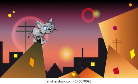little kitten on the roof in the night city