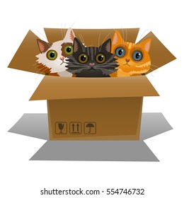 Little kittens in a cardboard box. Three cats is looking out of a box. Vector illustration