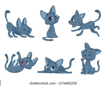 Little kittens. Cats domestic cute and funny little baby animals playing smiling vector characters isolated. Kitten character domestic, happy animal kitty illustration