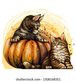 Little kittens. Wall sticker. Hand-drawn, color sketch of cute kittens and pumpkins in a watercolor style.