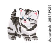 little kitty cat vector illustration