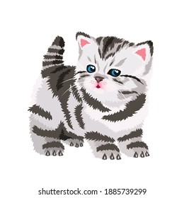 little kitty cat vector illustration