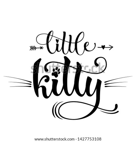 Little kitty quote. Baby shower hand drawn calligraphy style lettering phrase. Boho elements, whiskers, kitten foot print decor. Boy, girl card, poster, print, stiker, shirt design.