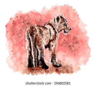 Little lion
