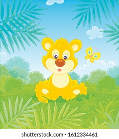 Little lion playing with a small colorful butterfly against the background of palm branches and bushes of savanna, vector cartoon illustration