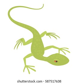 Little lizard icon. Cartoon illustration of little lizard vector icon for web