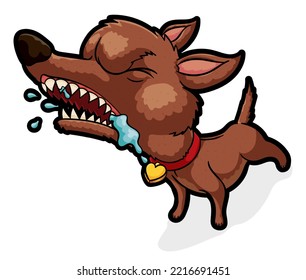 Little mad dog barking with furious gesture and showing its teeth, also wearing a red collar with heart medal.