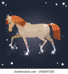 Little magic horse on a dark background. Shining stars. Vector cartoon illustration.