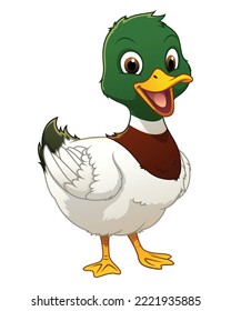 Little Mallard Duck Cartoon Animal Illustration