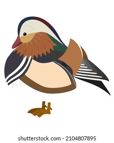 A little Mandarin duck, Mandarin duck vector illustration