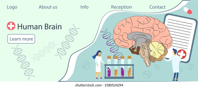 
Little men study the brain. 
Vector illustration concept medicine and health. Human brain anatomy diagram. 