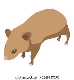 Little mice icon. Isometric of little mice vector icon for web design isolated on white background