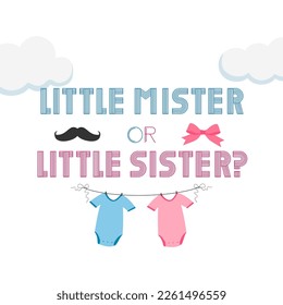 Little mister or Little sister? Gender reveal party card, banner vector element design