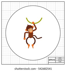 Little monkey hanging on liana