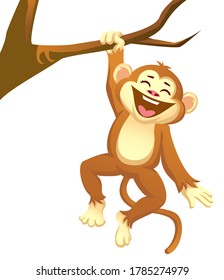 a little monkey playing on a tree