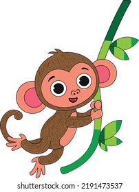 
Little Monkey Swinging On Vine