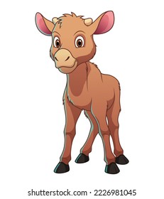 Little Moose Cartoon Animal Illustration