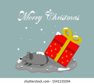 little mouse with big present