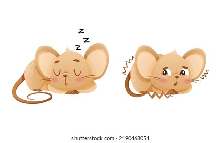 Little Mouse Character with Long Tail and Big Ears Shivering with Fear and Sleeping Cuddling Vector Set