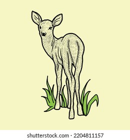 The little mouse deer is playing with the friend of illustration
