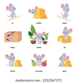 Little Mouse and English Language Preposition for Educational Activity Vector Set