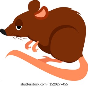 Pequeño ratón, ilustración, vector sobre fondo blanco.