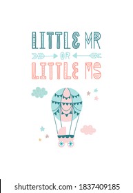 Little Mr or Little Ms? Gender Reveal Party poster with lettering and illustration