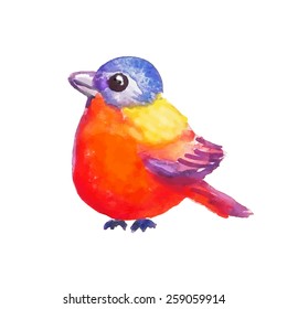 Little multicolor bird on white background