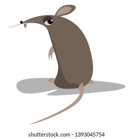 A little naughty black rat vector color drawing or illustration