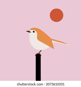 little orange bird on pink background