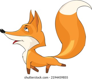 Little Orange Cunning Fox Looking Up