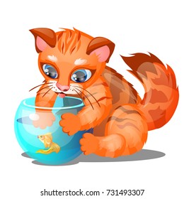 Little orange tabby cat trying to catch goldfish from the aquarium isolated on white background. Amusing pets. Vector cartoon close-up illustration.