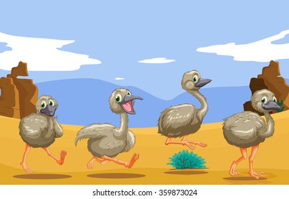 Little ostriches running in the desert illustration