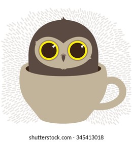 Little owl in a cup of coffee