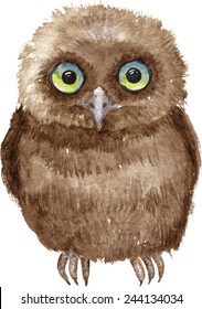 Little owl drawing by watercolor, hand drawn vector illustration