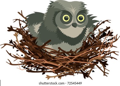 A little owl in the nest