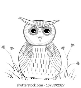 Little owl, painted in bright colors. Bird family owl. Figure funny birds. Coloring for painting.