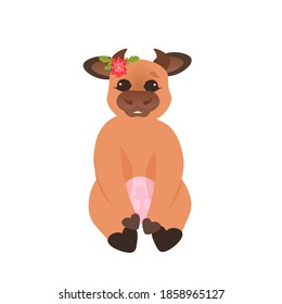 little ox happy new year 2021 greeting card cute cow mascot cartoon character full length vector illustration