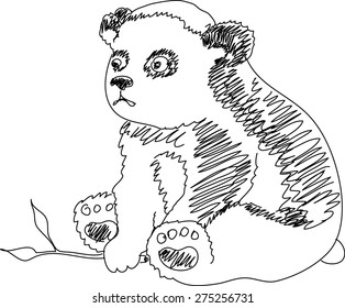 little panda bear sketch