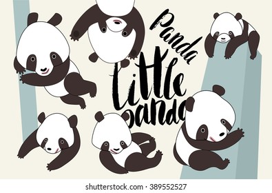 Little panda bear in various poses vector illustrated set with lettering Little Panda
