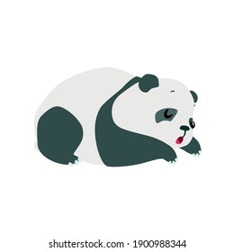 Little panda. Cute illustration of sleeping baby panda isolated on a white background. Vector 10 EPS