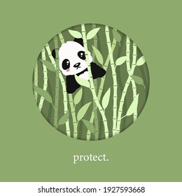 Little panda in need protection. Cute anime cub hiding in thicket of green bamboo conservation natural resources and vector ecology.