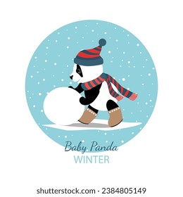 Little panda rolls a snowball.