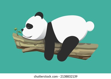 little panda sleeps in a tree