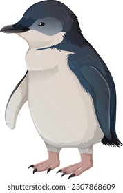 Little Penguin or Fairy Penguin on White Background illustration